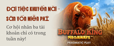 Trải Nghiệm Casino Đỉnh Cao